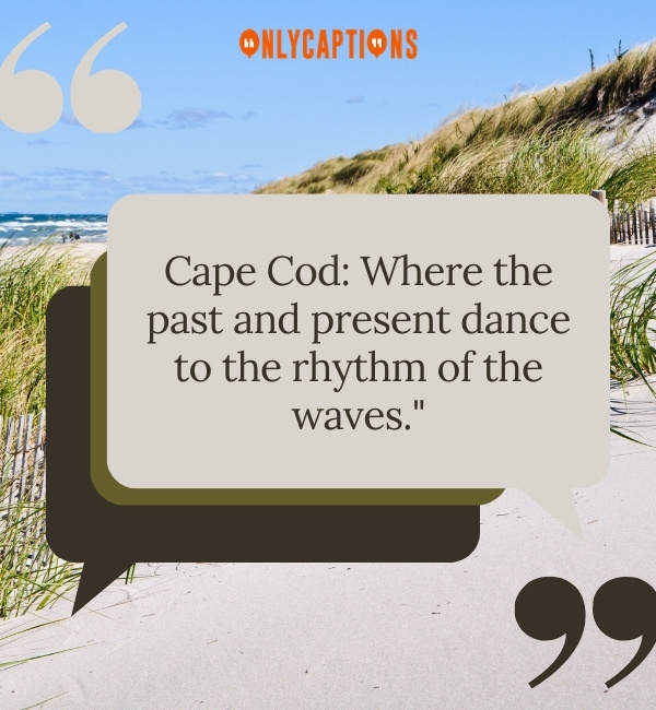 Cape Cod Quotes 2-OnlyCaptions