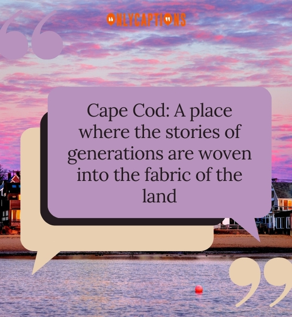 Cape Cod Quotes-OnlyCaptions