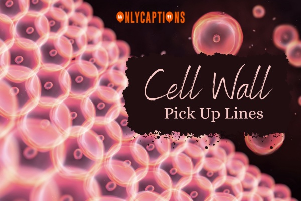 Cell Wall Pick Up Lines 1-OnlyCaptions