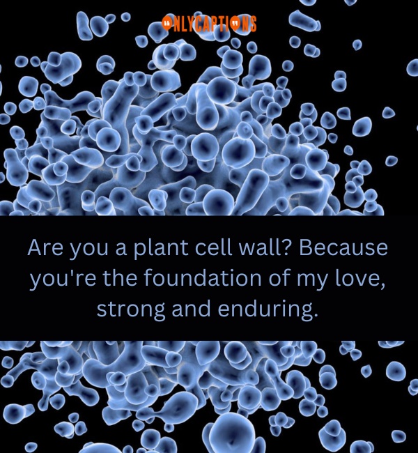 Cell Wall Pick Up Lines 2-OnlyCaptions