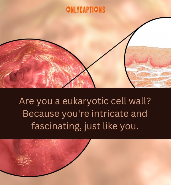 Cell Wall Pick Up Lines 3-OnlyCaptions