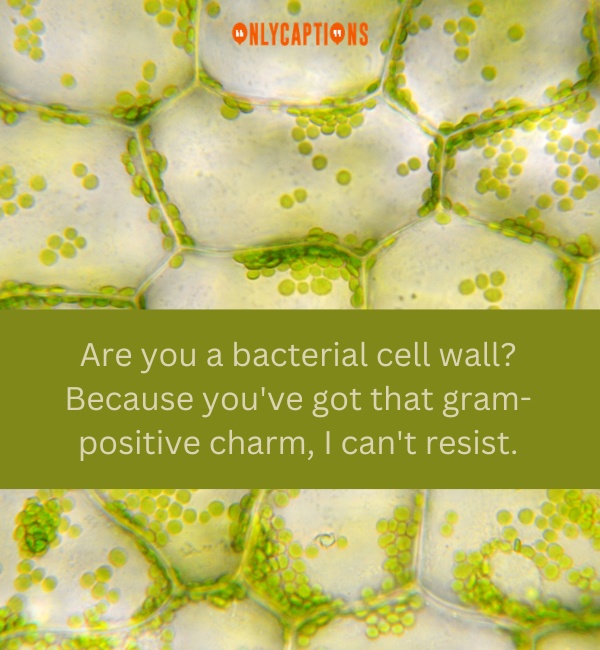 Cell Wall Pick Up Lines-OnlyCaptions