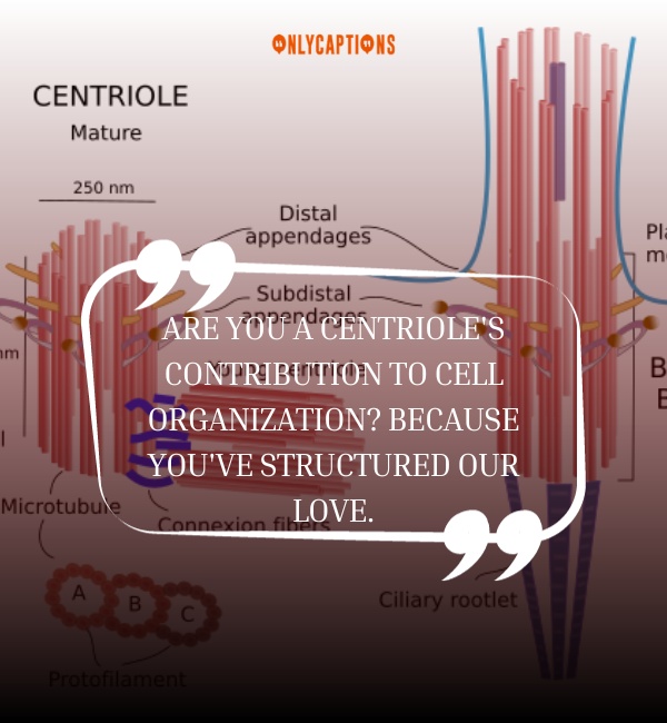 Centriole Pick Up Lines 3-OnlyCaptions