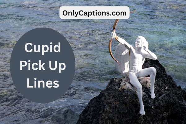 Cupid Pick Up Lines 1-OnlyCaptions