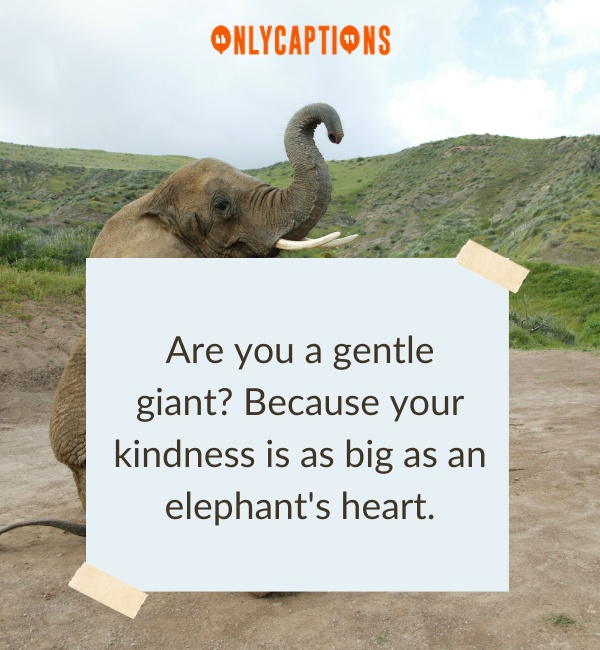 Elephant Pick Up Lines 2-OnlyCaptions