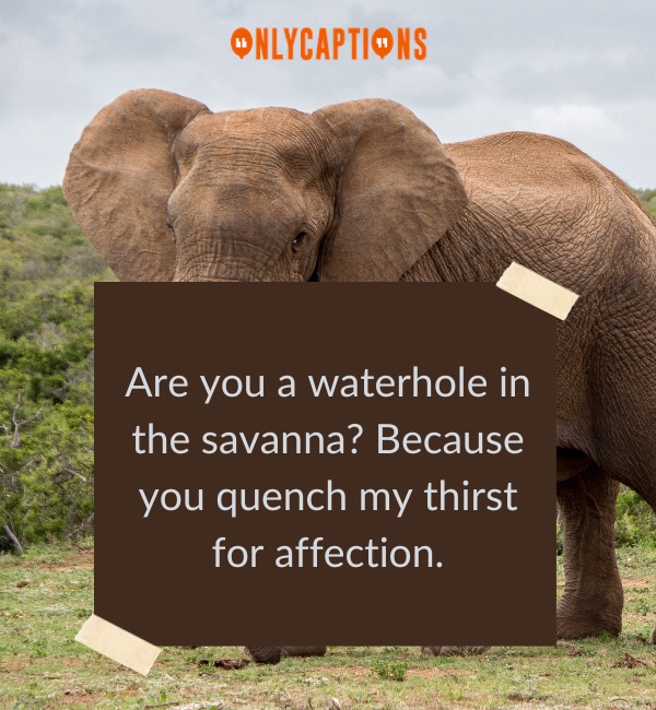 Elephant Pick Up Lines-OnlyCaptions
