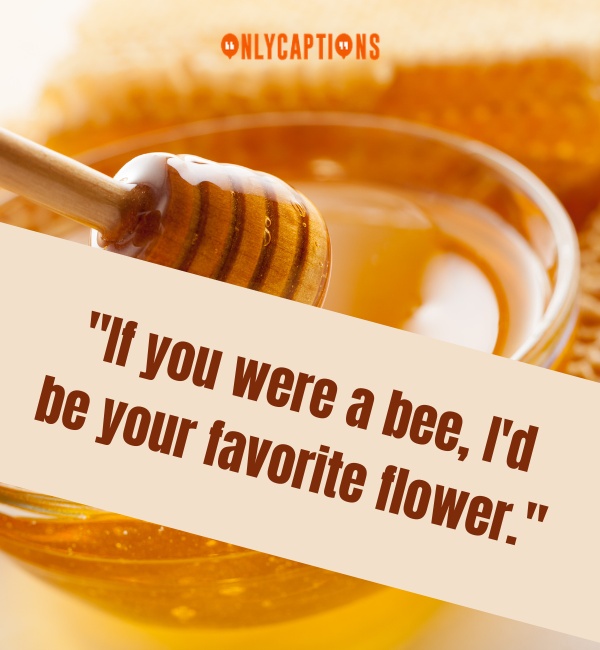 Honey Pick Up Lines 2-OnlyCaptions