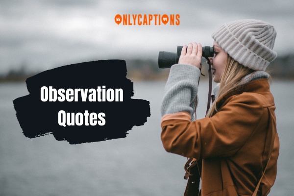 Observation Quotes (2024)