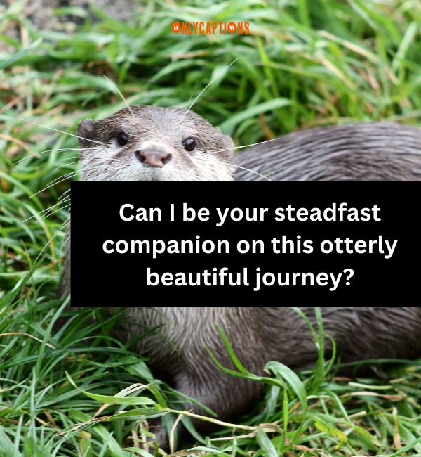 Otter Pick Up Lines 2-OnlyCaptions
