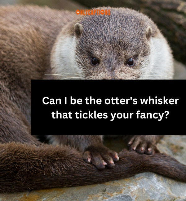 Otter Pick Up Lines 3-OnlyCaptions