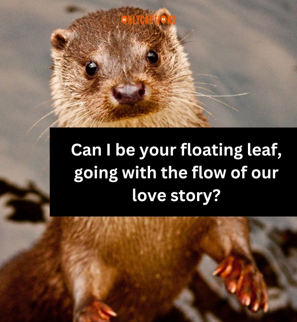 Otter Pick Up Lines-OnlyCaptions