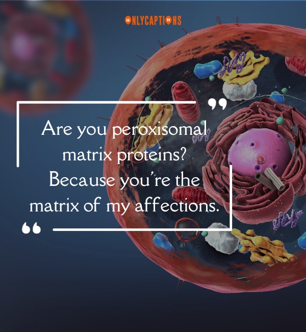 Peroxisome Pick Up Lines 2-OnlyCaptions