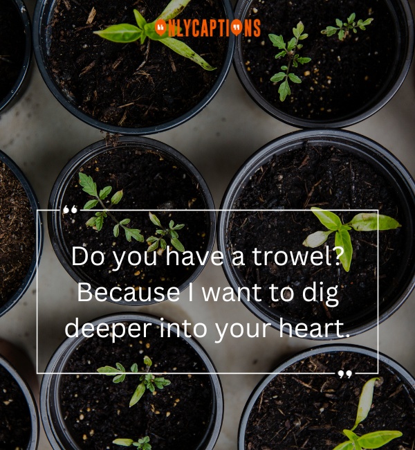 Pick Up Lines About Gardening-OnlyCaptions