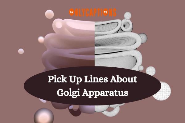 Pick Up Lines About Golgi Apparatus 1 1-OnlyCaptions