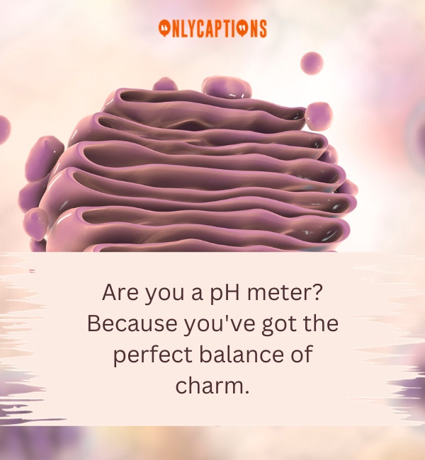 Pick Up Lines About Golgi Apparatus-OnlyCaptions