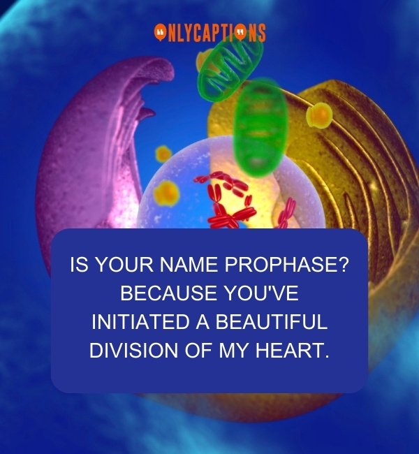 Pick Up Lines About Organelle Speed Dating 2-OnlyCaptions