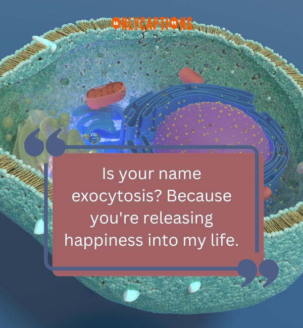 Pick Up Lines About Rough Endoplasmic Reticulum-OnlyCaptions