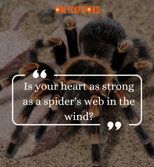 Pick Up Lines About Spider 2-OnlyCaptions