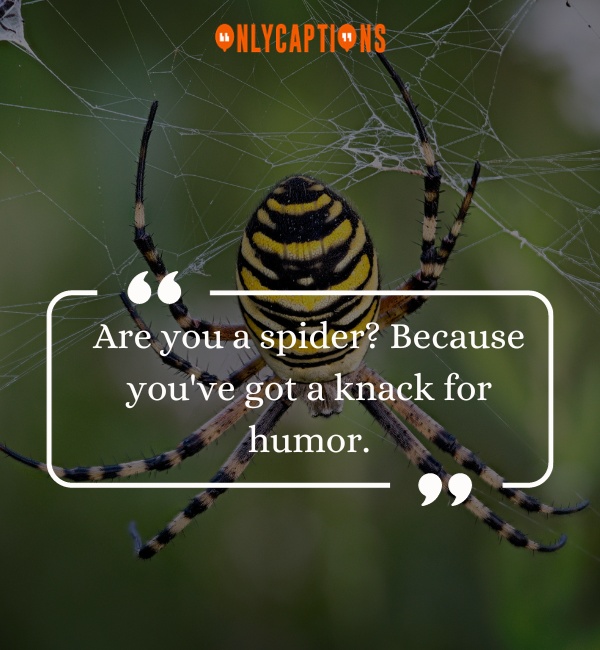 Pick Up Lines About Spider 3-OnlyCaptions