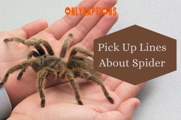 Pick Up Lines About Spider-OnlyCaptions