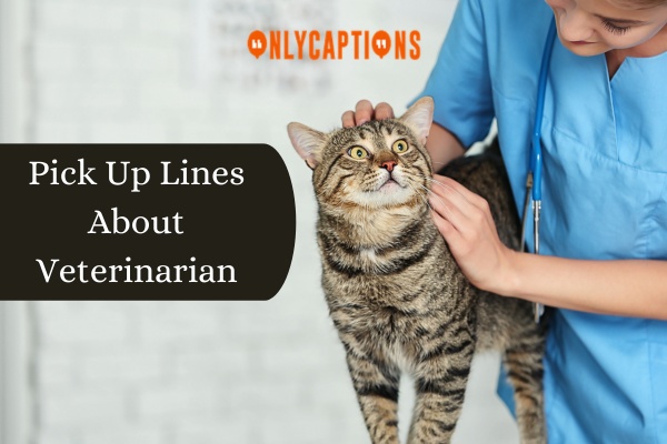 Pick Up Lines About Veterinarian 1-OnlyCaptions