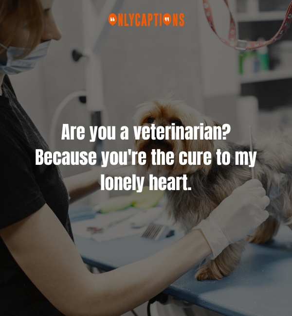 Pick Up Lines About Veterinarian 2-OnlyCaptions