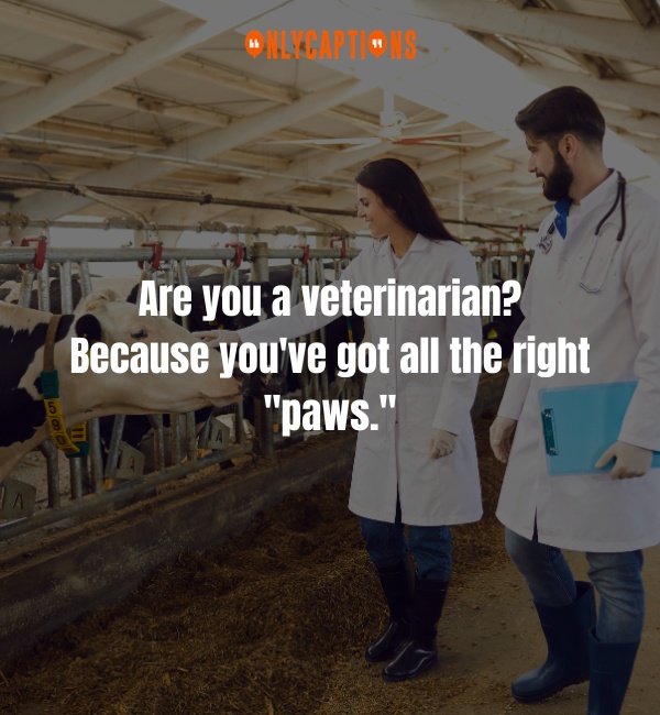 Pick Up Lines About Veterinarian 3-OnlyCaptions