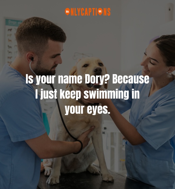 Pick Up Lines About Veterinarian-OnlyCaptions