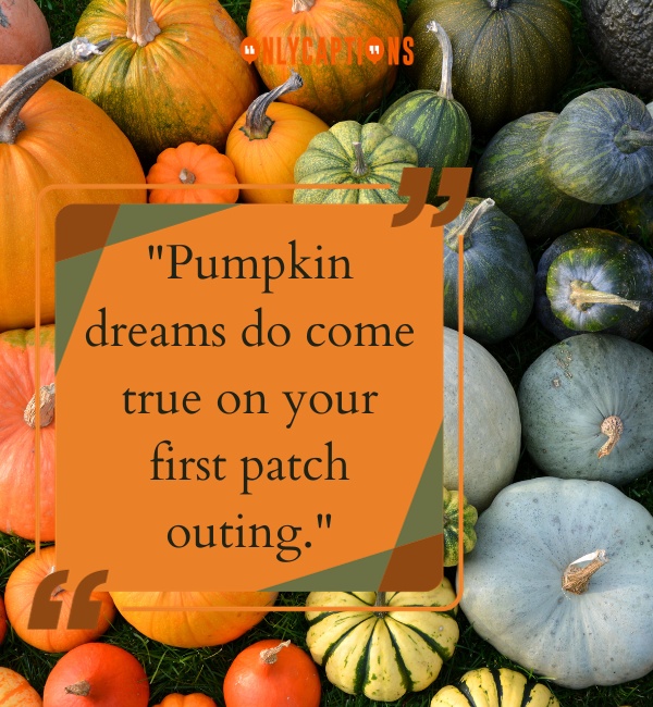 Pumpkin Captions 10-OnlyCaptions