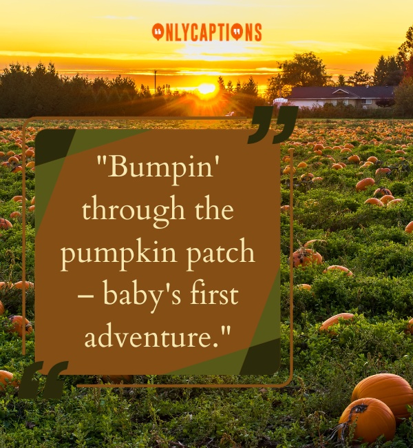 Pumpkin Captions 11-OnlyCaptions