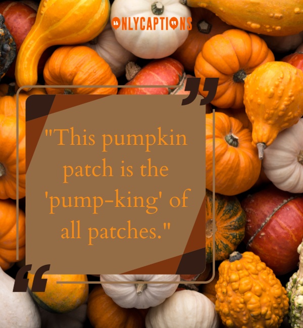 Pumpkin Captions 9-OnlyCaptions