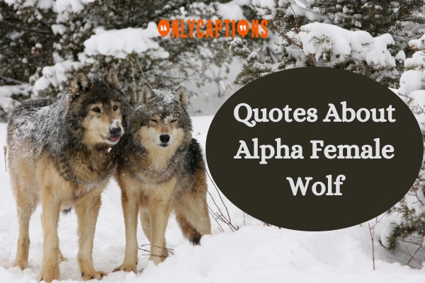 Quotes About Alpha Female Wolf 1-OnlyCaptions