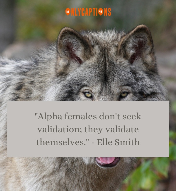 Quotes About Alpha Female Wolf-OnlyCaptions