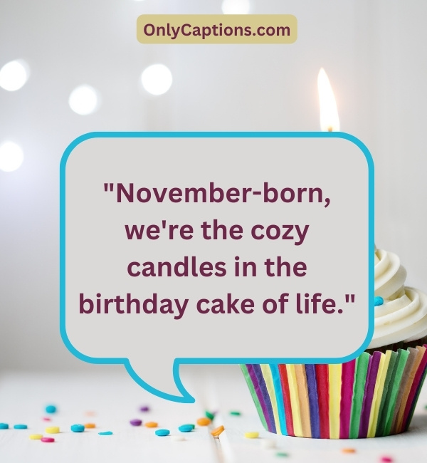 Quotes About Birthday In November 2-OnlyCaptions