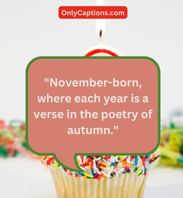 Quotes About Birthday In November 3-OnlyCaptions
