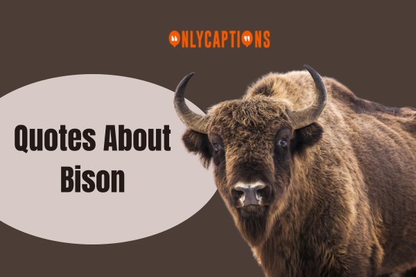 Quotes About Bison 1-OnlyCaptions