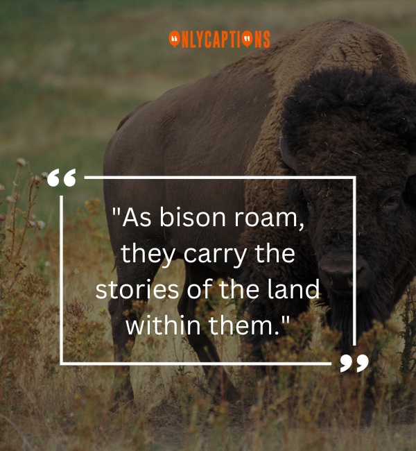 Quotes About Bison 2-OnlyCaptions