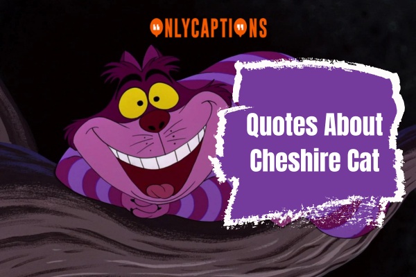 Quotes About Cheshire Cat (2024)