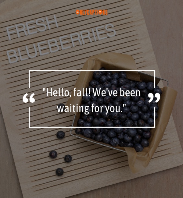 Quotes About Fall Letterboard-OnlyCaptions