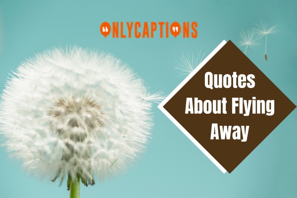 Quotes About Flying Away (2024)