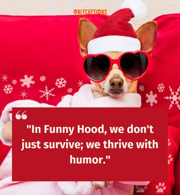 Quotes About Funny Hood-OnlyCaptions