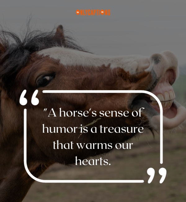 Quotes About Funny Horse 2-OnlyCaptions