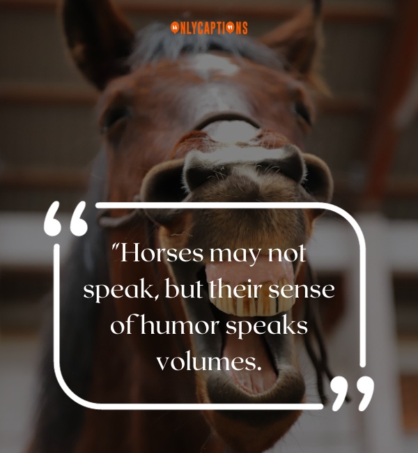 Quotes About Funny Horse-OnlyCaptions