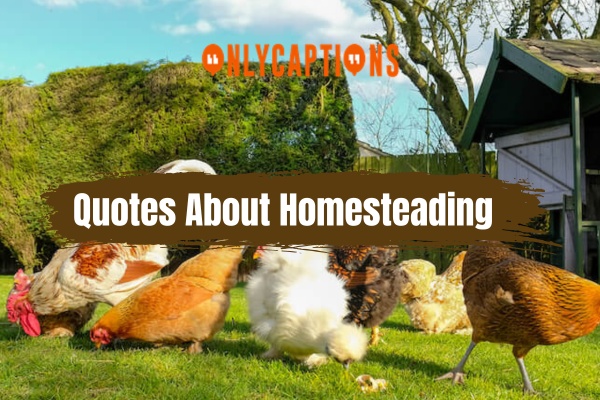 Quotes About Homesteading (2024)