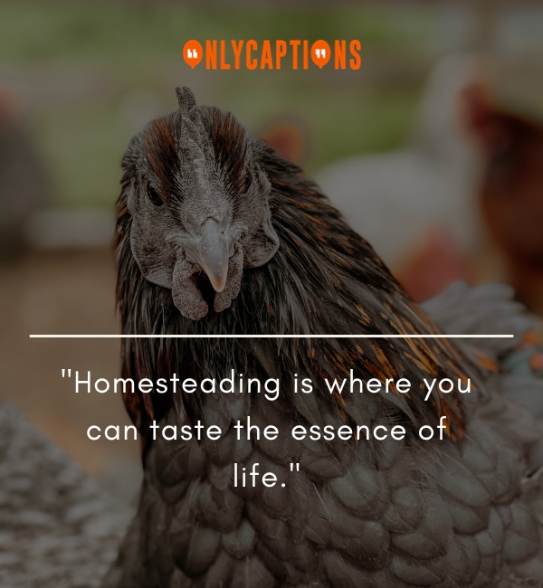 Quotes About Homesteading-OnlyCaptions