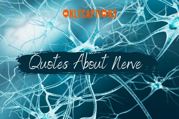 Quotes About Nerve (2024)