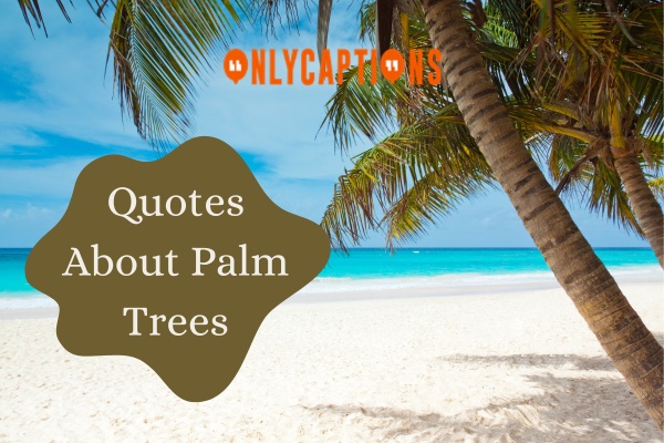 Quotes About Palm Trees (2024)