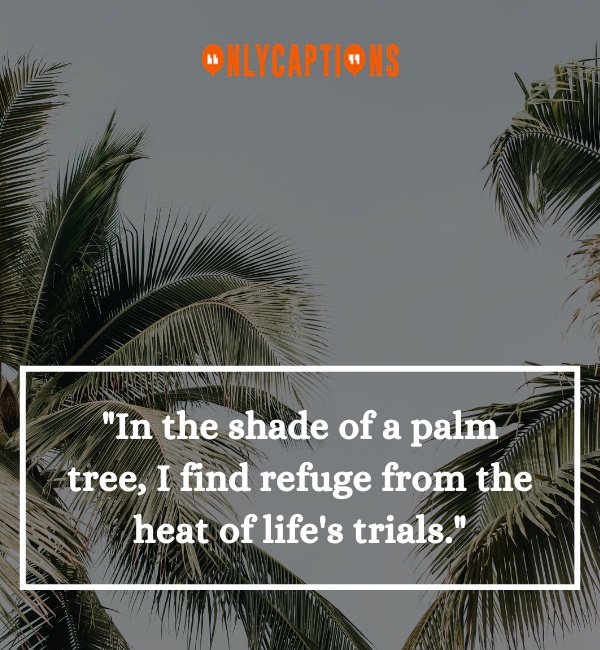 Quotes About Palm Trees 2-OnlyCaptions