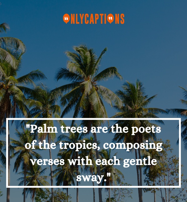 Quotes About Palm Trees-OnlyCaptions