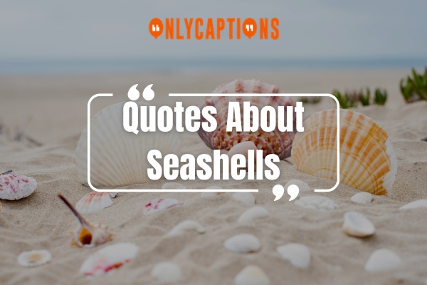 Quotes About Seashells (2024)